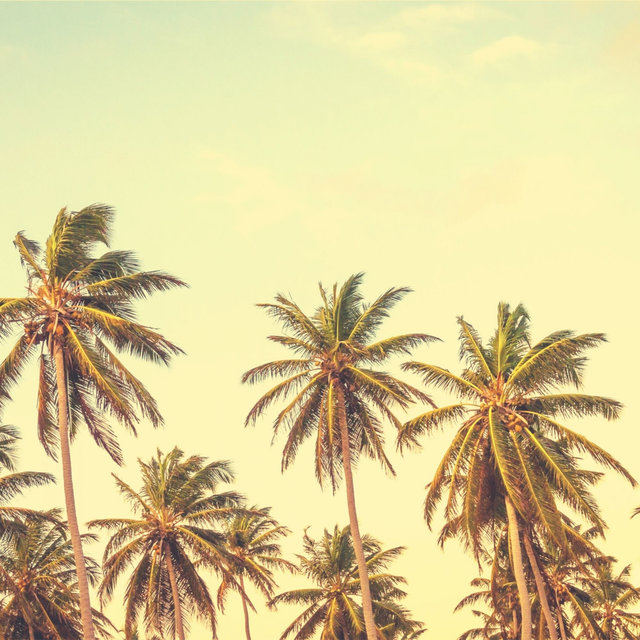 Ambiance for Antigua