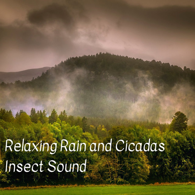 Relaxing Rain and Cicadas Insect Sound - 3 Hours