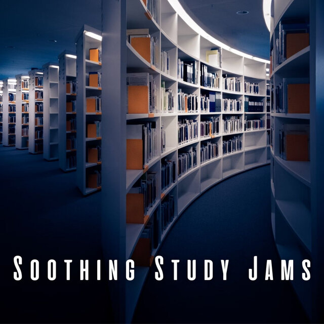 Soothing Study Jams: Lofi Tunes for Cognitive Enhancement