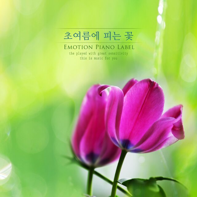 Flowers blooming in early summer