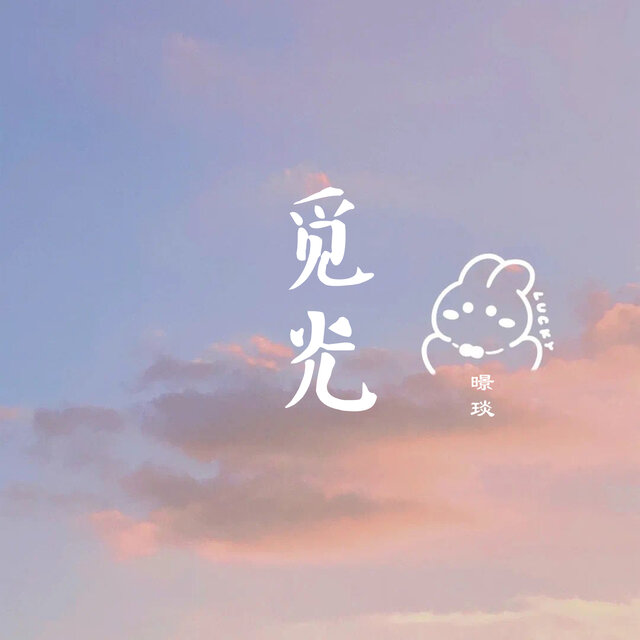 觅光