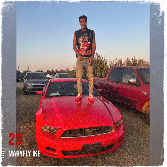 23