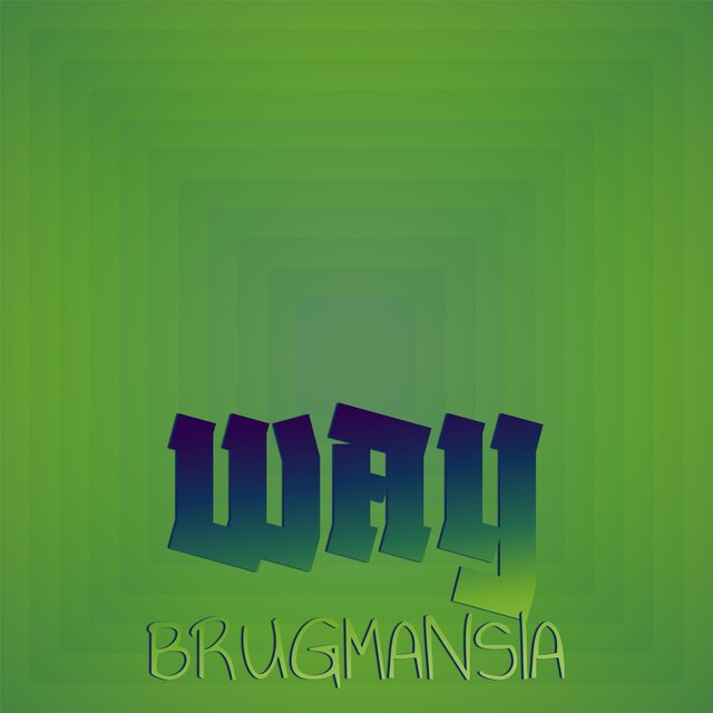 Way Brugmansia