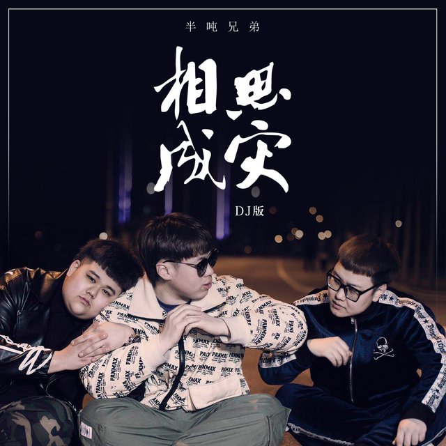相思成灾 (Dj版)