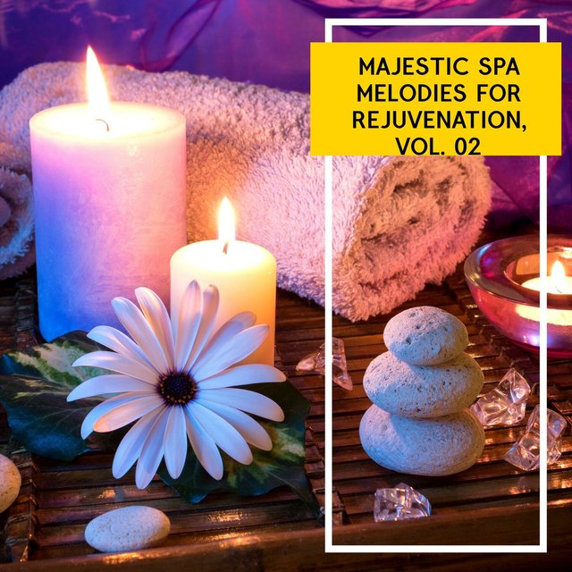 Majestic Spa Melodies for Rejuvenation, Vol. 02