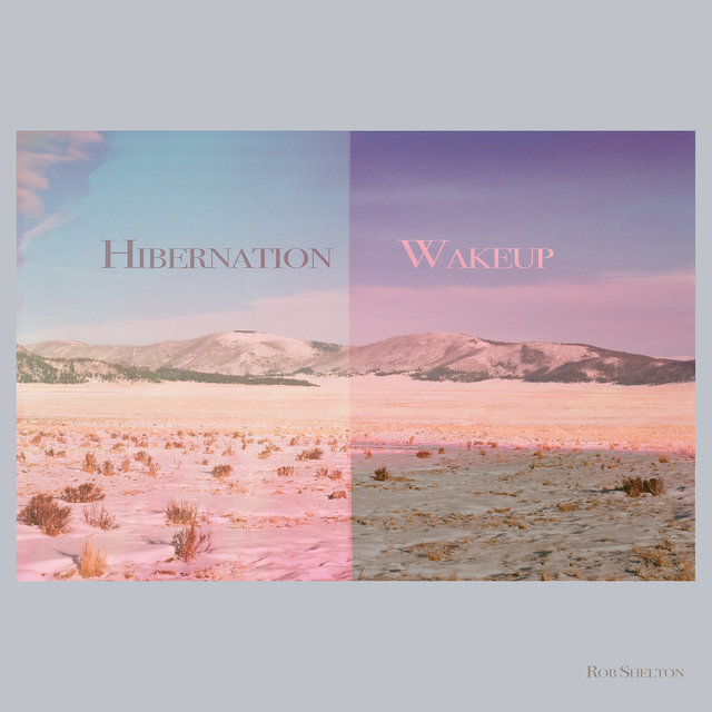 Hibernation Wakeup