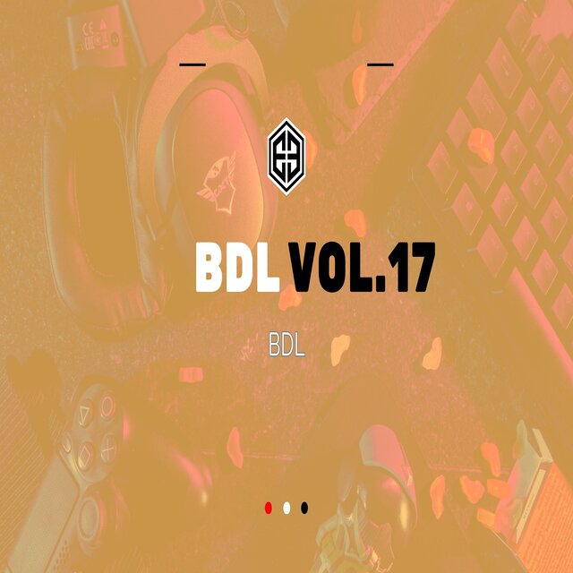 BDL Vol.17