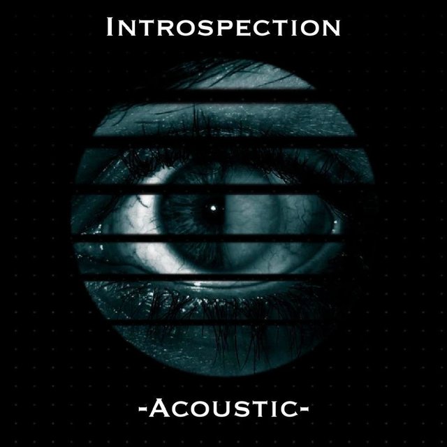 Introspection (Acoustic)