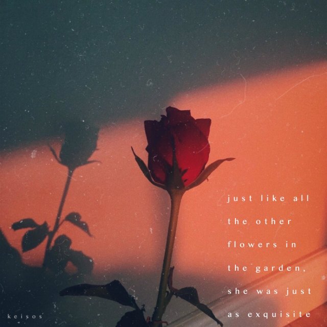 just like all the other flowers in the garden, she was just as exquisite