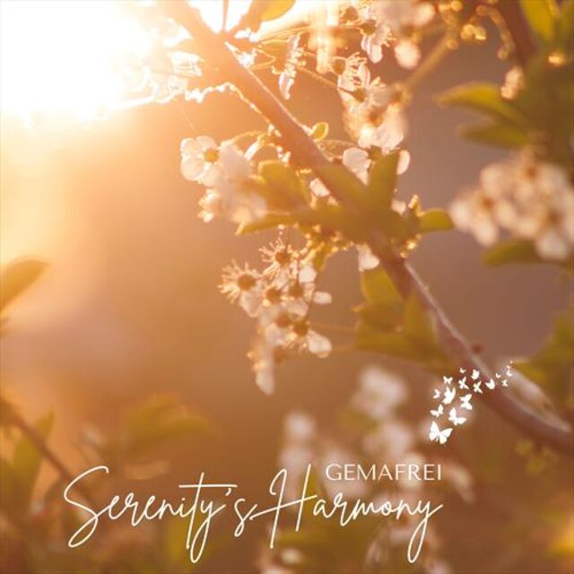 Serenity’s Harmony