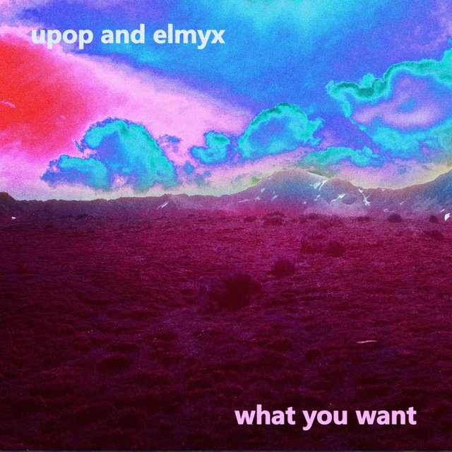 What You Want