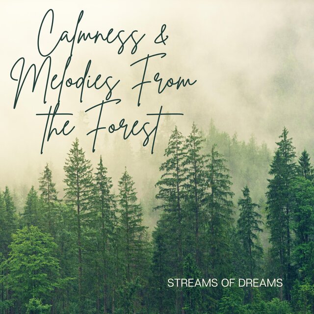 Calmness & Melodies From the Forest