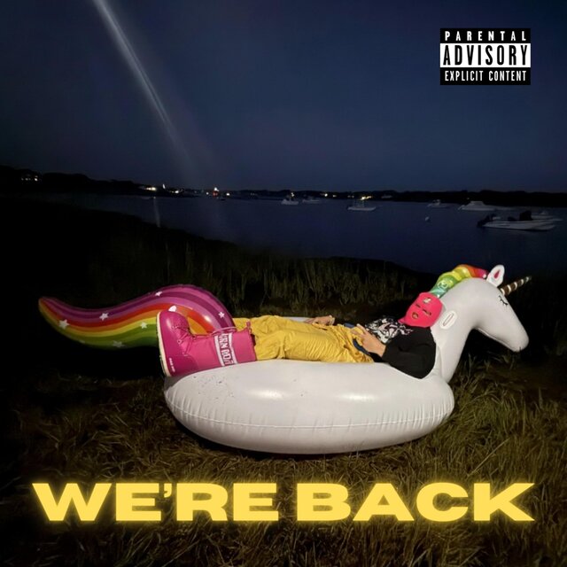 Cover art for album  by UNICORNY