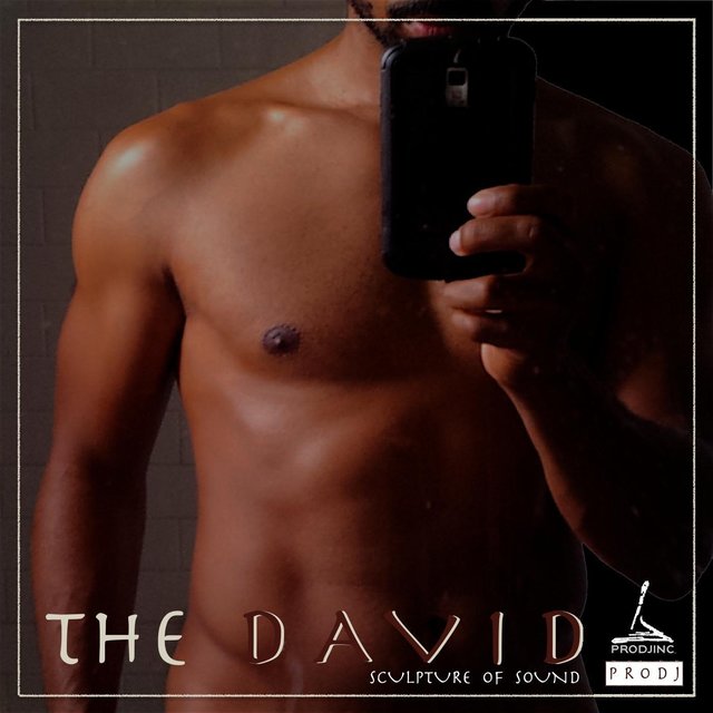 The David: Sculpture of Sound