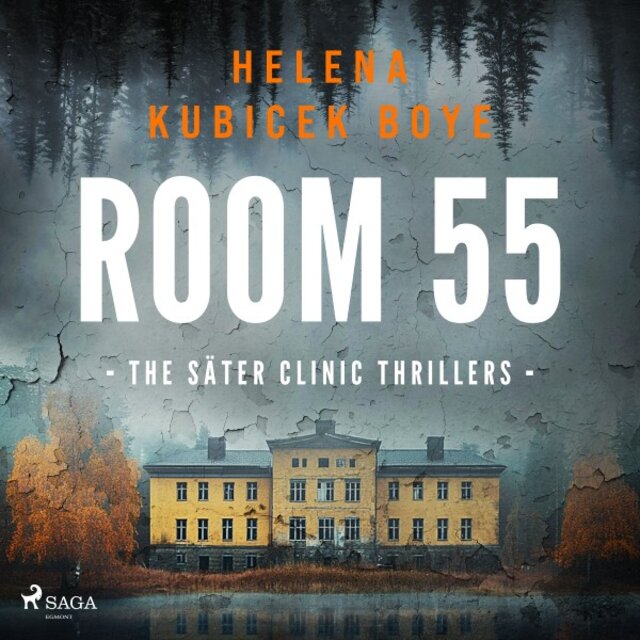 Room 55: A Clever Scandi-Noir Thriller Set in Sweden's Notorious Psychiatric Clinic