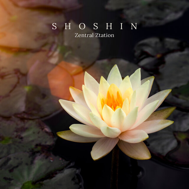 Shoshin