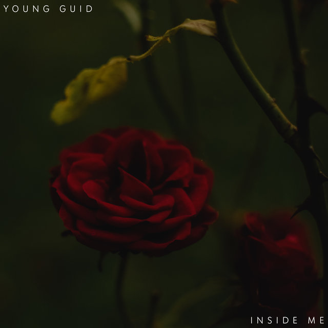 Inside Me
