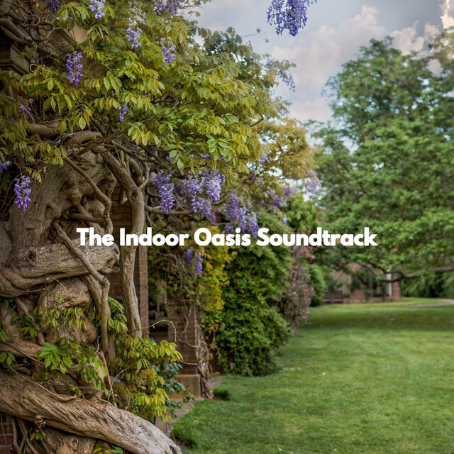 The Indoor Oasis Soundtrack