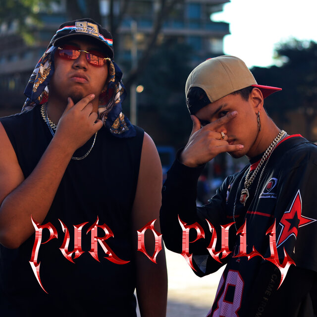 Pur o Pull (Remix)