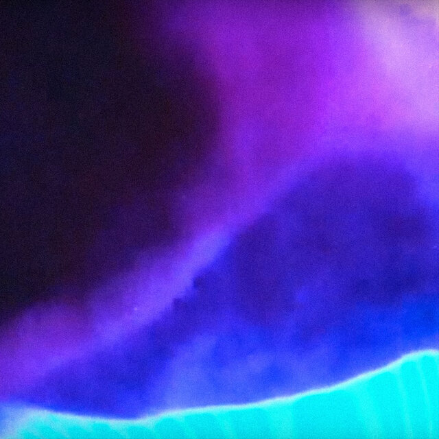 Middle