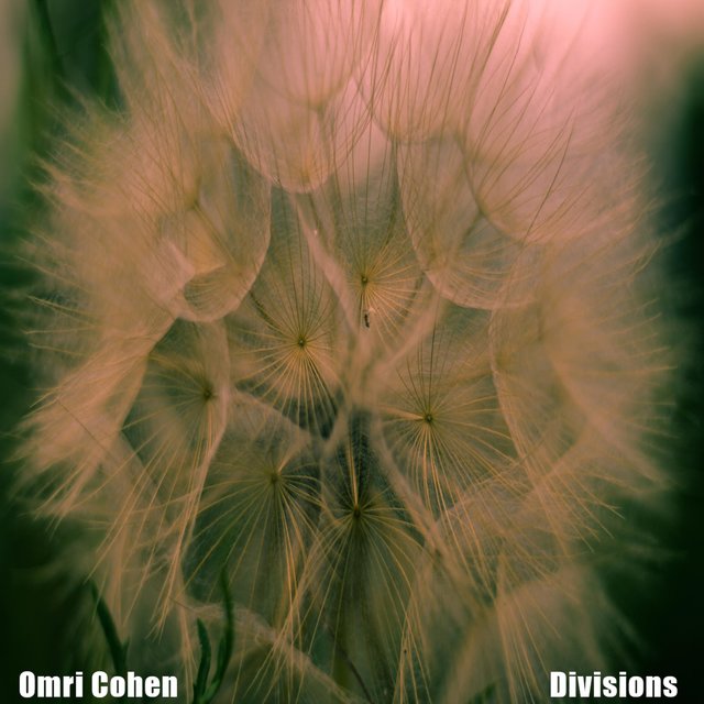 Divisions