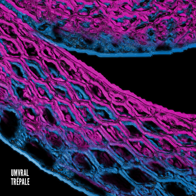 Trépale