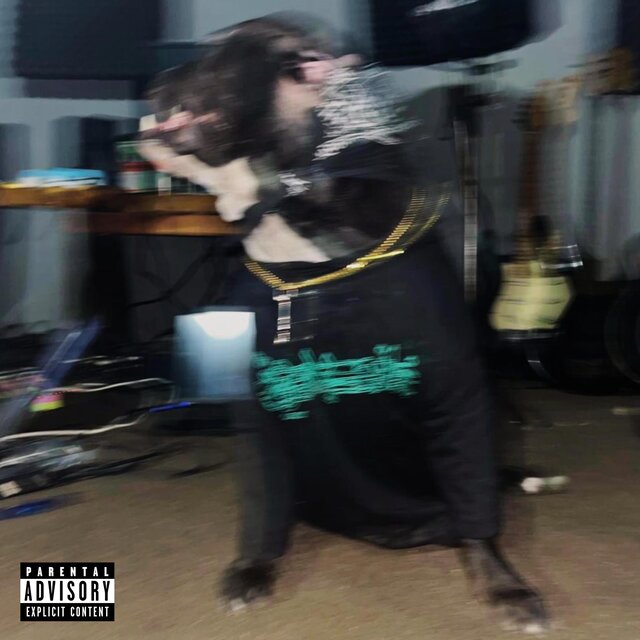 4 My Dogs