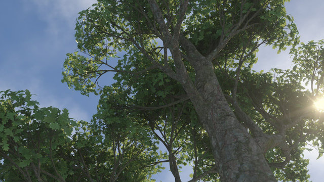 Running In The Grass