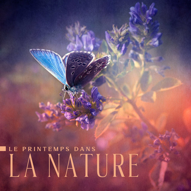 Le printemps dans la nature: Forêts fleuries, Ruisseaux vivants, Chants d'oiseaux, Pluie rafraîchissante