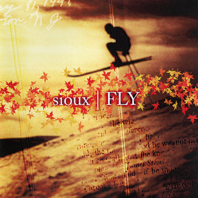 Fly