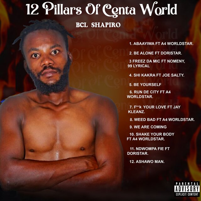 12 PILLARS OF CENTA WORLD