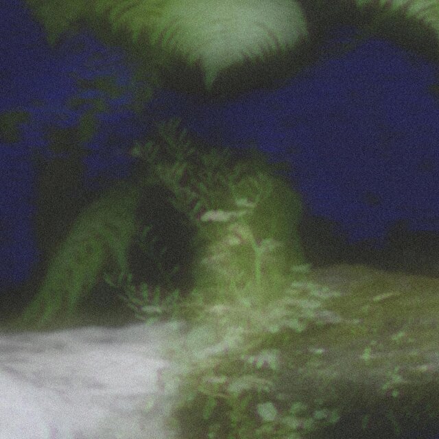 pretty in decay