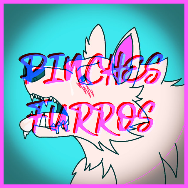 Pinches Furros