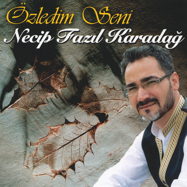 Özledim Seni