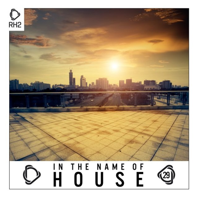 In the Name of House, Vol. 29