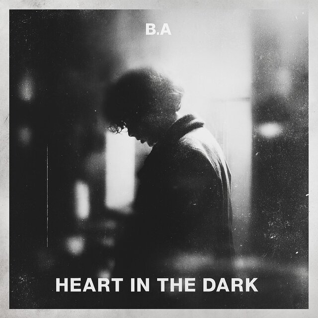 Heart in the Dark