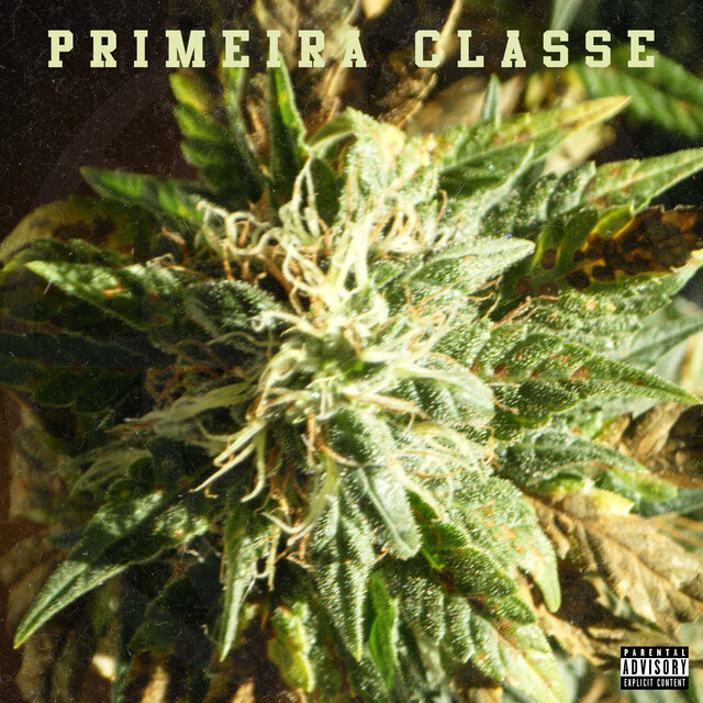 Primeira Classe