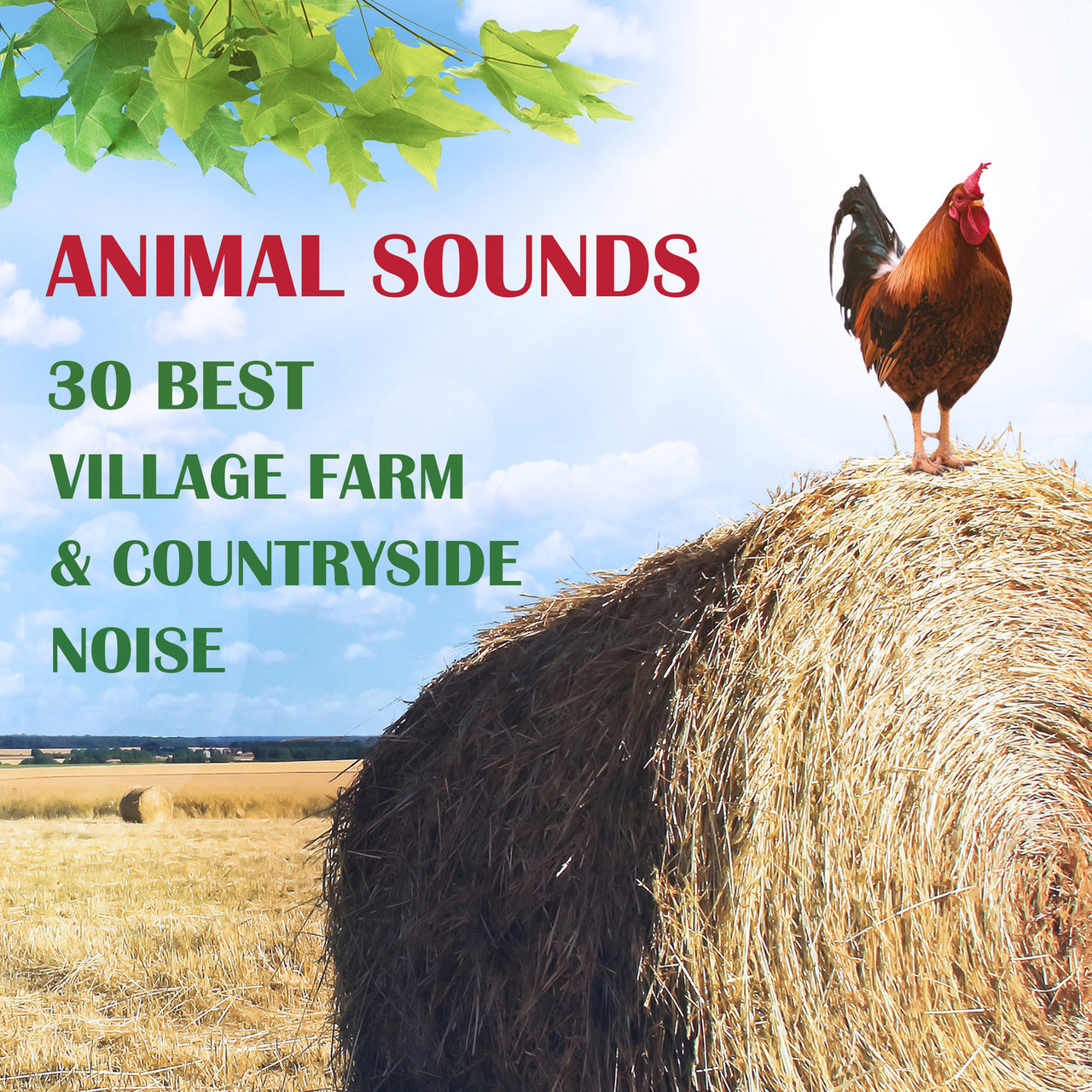 Farm Sound Block Animal Sounds: 30 Best Village Farm & Countryside Noise from Europe by ...