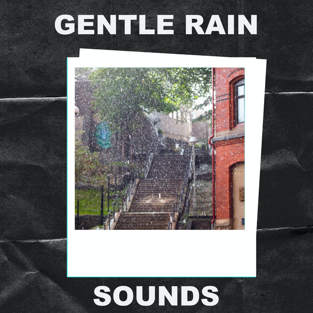 Gentle Rain Sounds