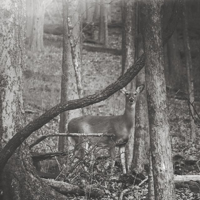 Bleeding Out Slow (B-Sides)