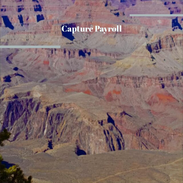 Capture Payroll
