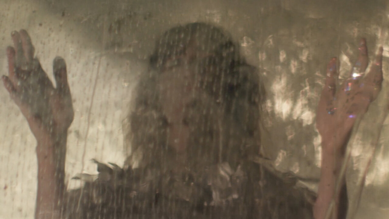 Propeller Seeds (Official Video)