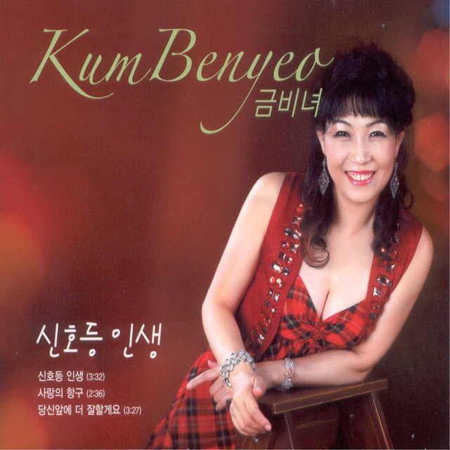 신호등 인생