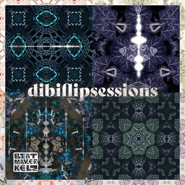 dibiflipsessions