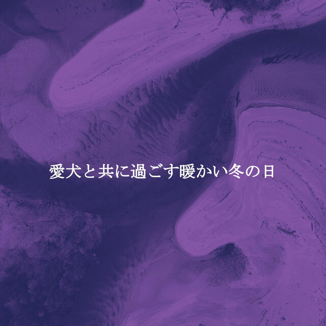 愛犬と共に過ごす暖かい冬の日