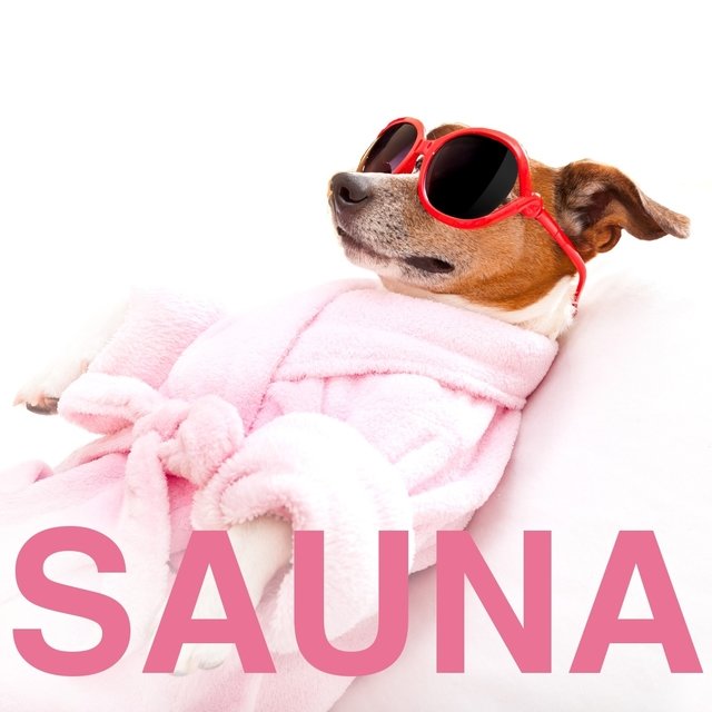 Sauna 2016