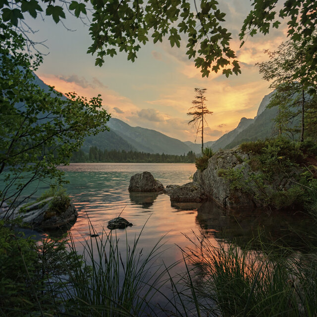 Silent Oasis