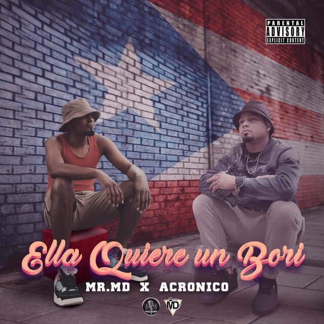 Ella Quiere un Bori (Remix)