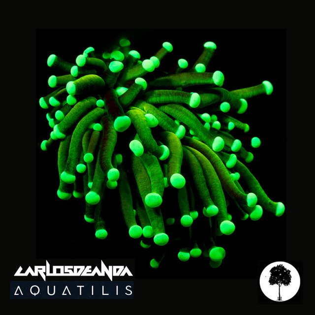 Acuatilis