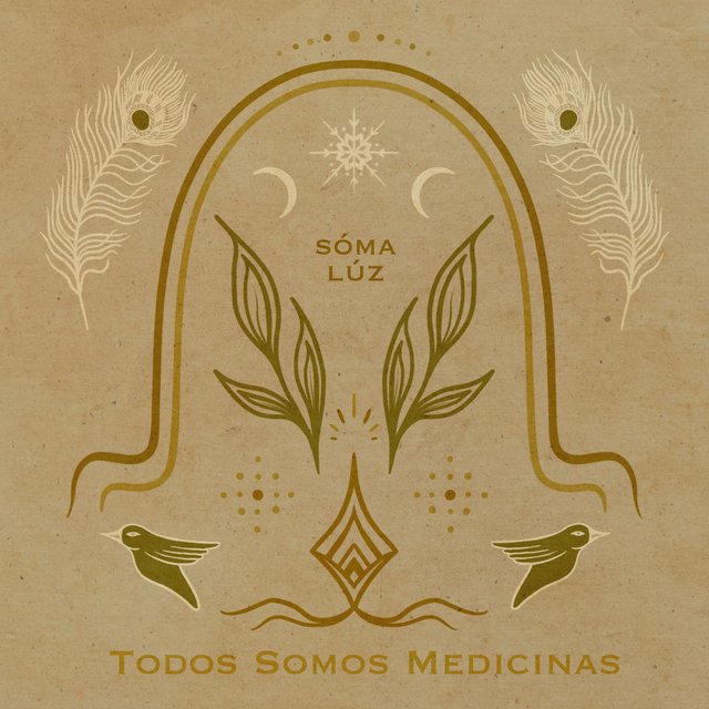 Todos Somos Medicinas (feat. Zin Onyx, Ashana Sophia, Paulina Prana, Udaya Bryce & Roland Wittel)